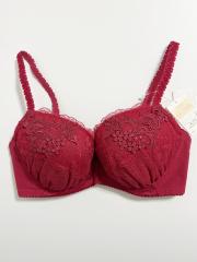 Wacoal Wing Lesiage、E70、ブラジャー