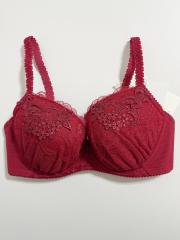 Wacoal Wing Lesiage、E70、ブラジャー