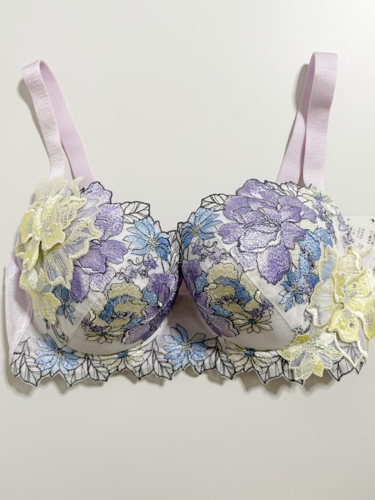 Wacoal Salute ブラジャー F65 Re&｜Wacoal Saluteのメンズの古着通販