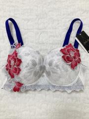 Wacoal Salute、F65、ブラジャー
