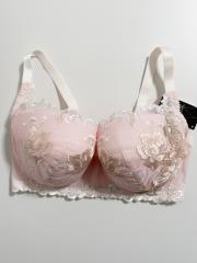 Wacoal Salute（H75）、Gカップ～、ブラジャー