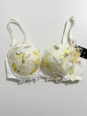 Wacoal Salute、E70、ブラジャー