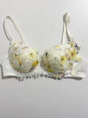 Wacoal Salute、C75、ブラジャー