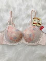 Triumph、B80～、ブラジャー