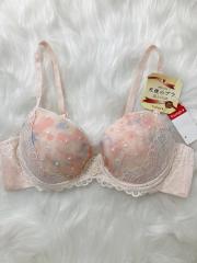 Triumph、B80～、ブラジャー