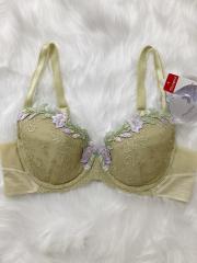 Triumph、C80～、ブラジャー