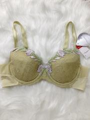 Triumph、C80～、ブラジャー