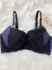 Triumph、F75、ブラジャー