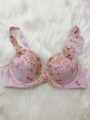 Triumph、B80～、ブラジャー