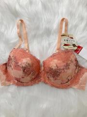 Triumph、B80～、ブラジャー