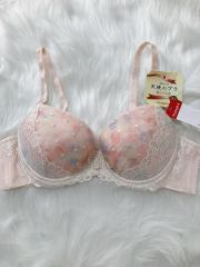 Triumph、B80～、ブラジャー