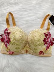 Wacoal Salute（G65 ）