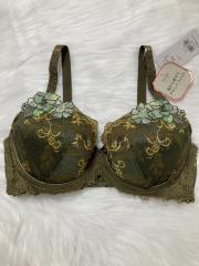 Triumph、D75、ブラジャー