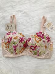 Wacoal Wing Lesiage、E65、ブラジャー