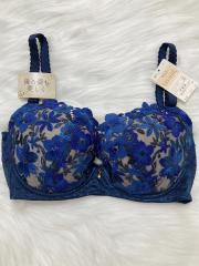 Wacoal Wing Lesiage、F65、ブラジャー