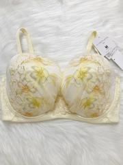 Wacoal PARFAGE（Ｉ75）