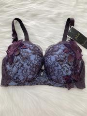 Wacoal Salute（G70）