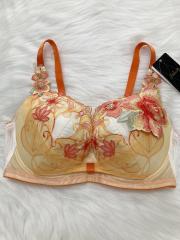 Wacoal Salute（G65）、Gカップ～、ブラジャー