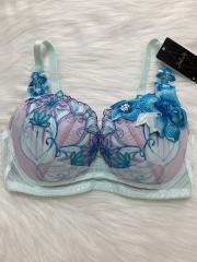 Wacoal Salute（G65）、Gカップ～、ブラジャー