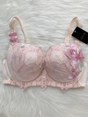 Wacoal Salute（G70）、Gカップ～、ブラジャー