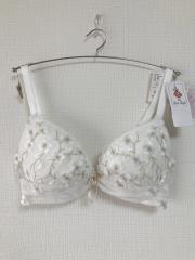 Risa Magli、D65、ブラジャー