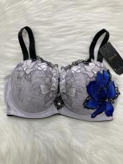 Wacoal Salute（G65）、Gカップ～、ブラジャー