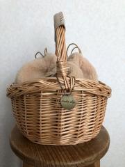 STUDIO CLIP、F（フリー）、バッグ