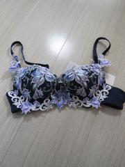 HIMICO、B65、ブラジャー