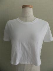 Dazy　、Mサイズ、Tシャツ