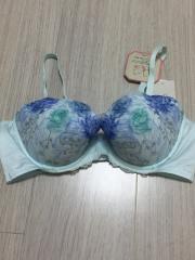 Triumph、C70、ブラジャー