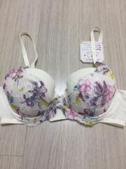 Triumph、C70、ブラジャー