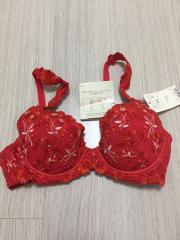 Triumph、B70、ブラジャー