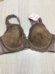 Triumph、D80～、ブラジャー