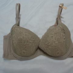 Triumph、D75、ブラジャー